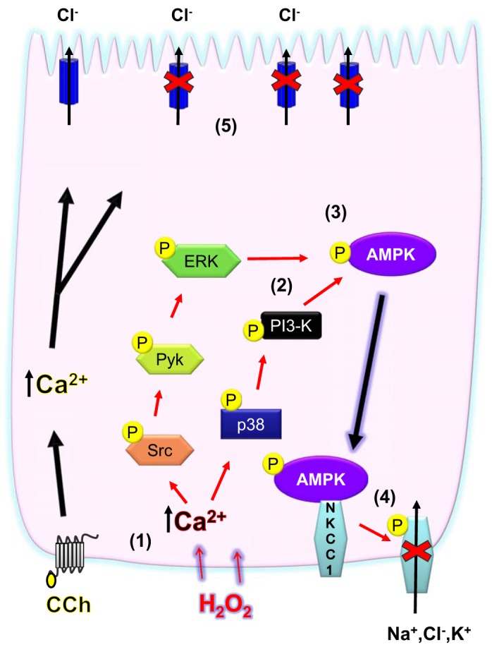 Fig. 7.