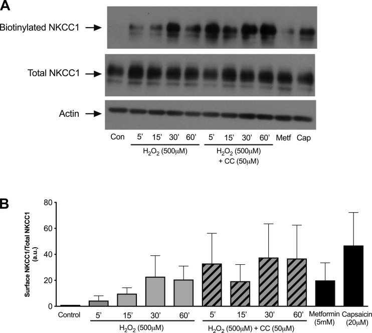 Fig. 6.