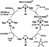Scheme 10