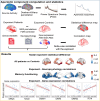 Graphical Abstract