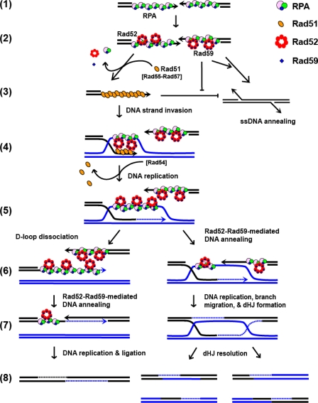 FIGURE 7.