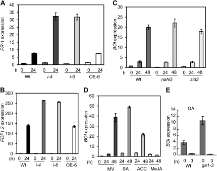 Figure 7.