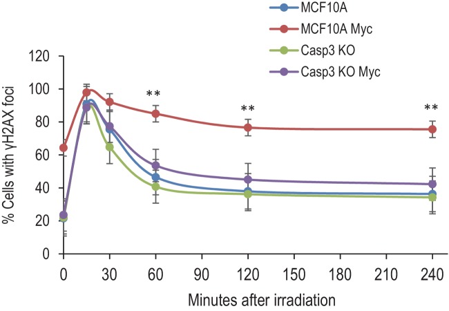 Figure 1—figure supplement 5.