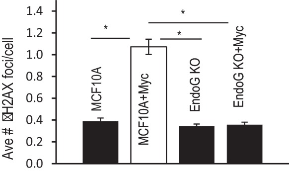 Figure 3—figure supplement 1.