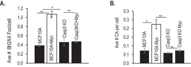 Figure 1—figure supplement 3.