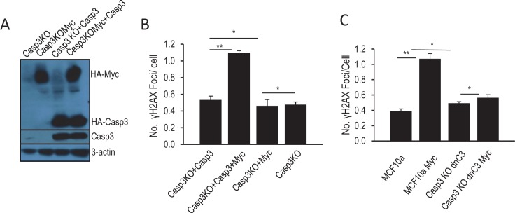 Figure 1—figure supplement 6.