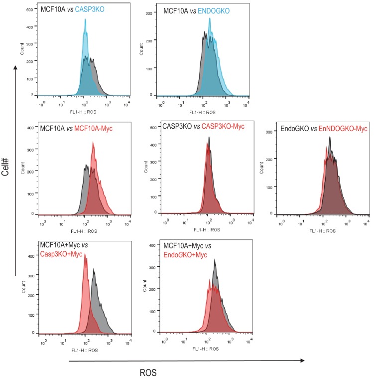 Figure 3—figure supplement 3.