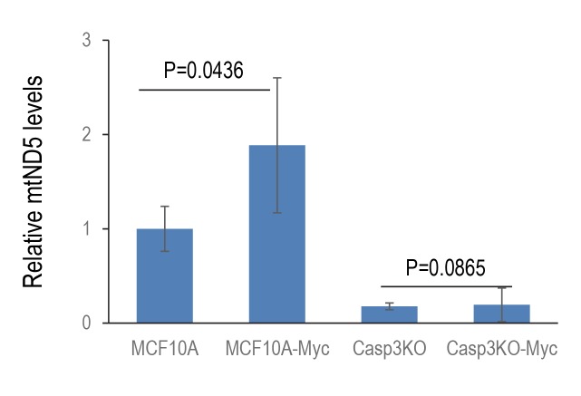 Figure 3—figure supplement 4.