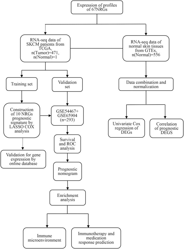 FIGURE 1