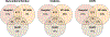 Fig. 2.