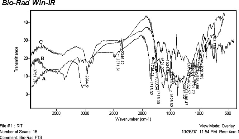 Fig. 5