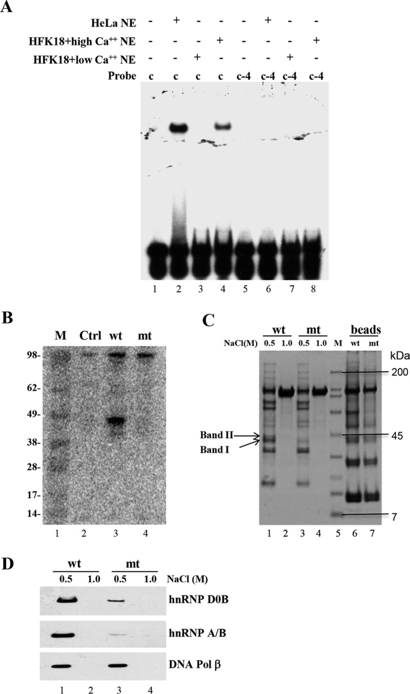 FIG 6 