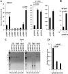 FIG 2