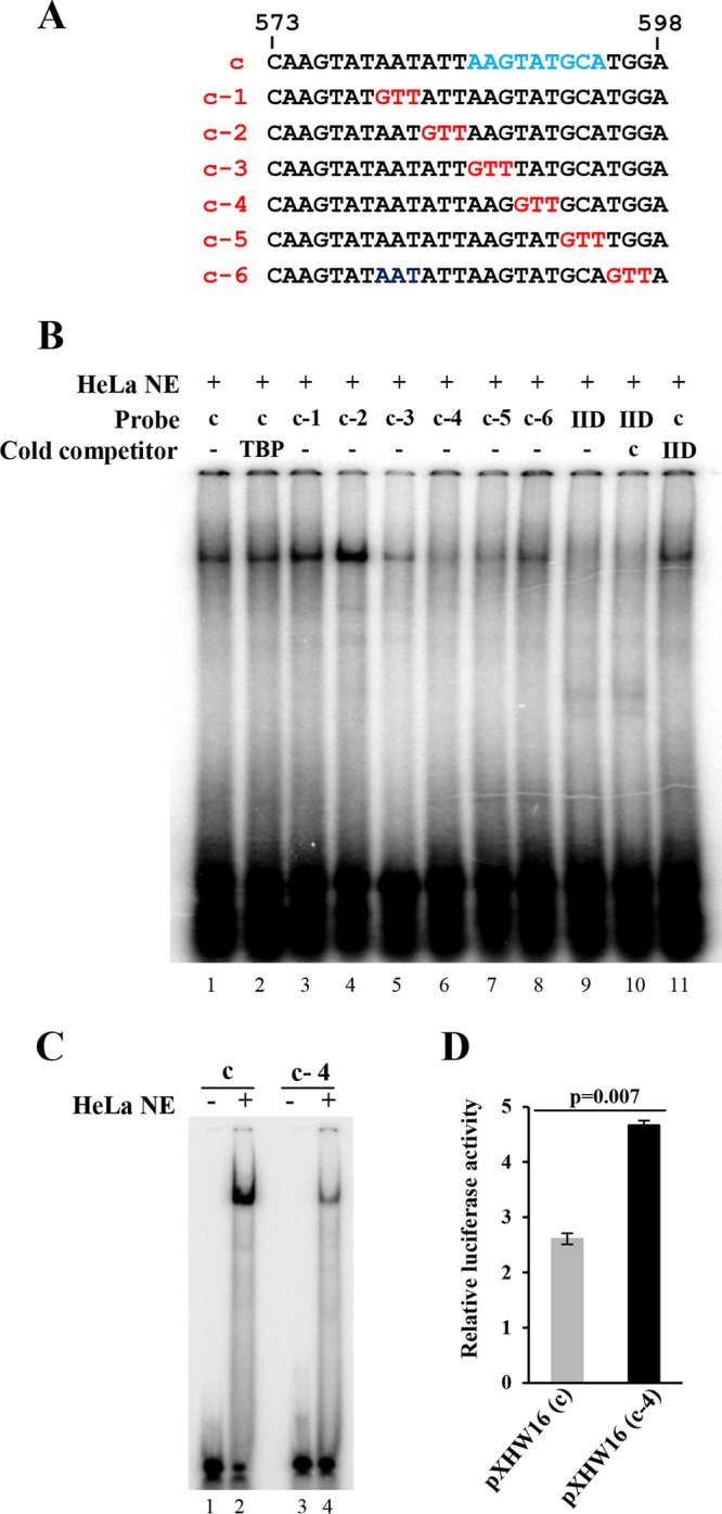 FIG 5 