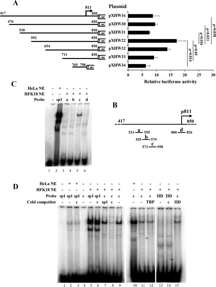 FIG 4 