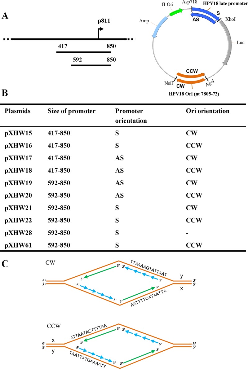 FIG 1 