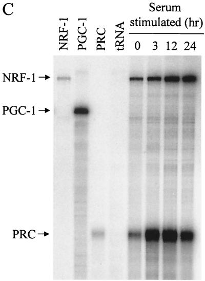 FIG. 5