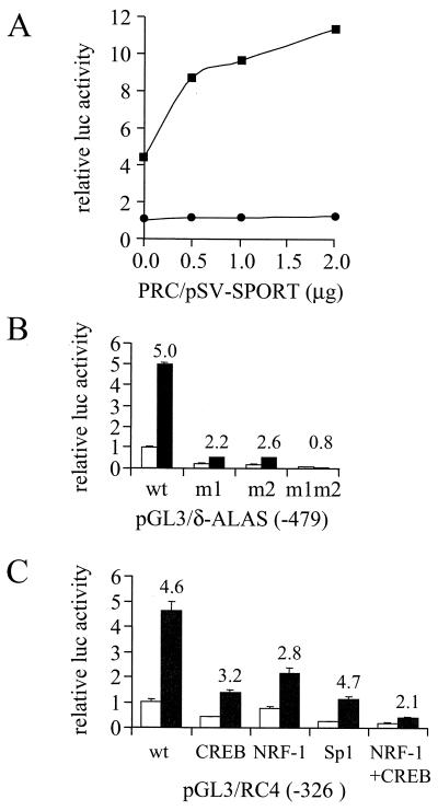 FIG. 6