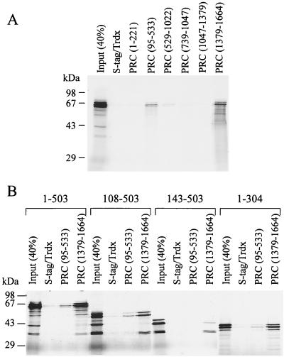 FIG. 8