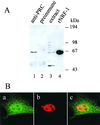 FIG. 7