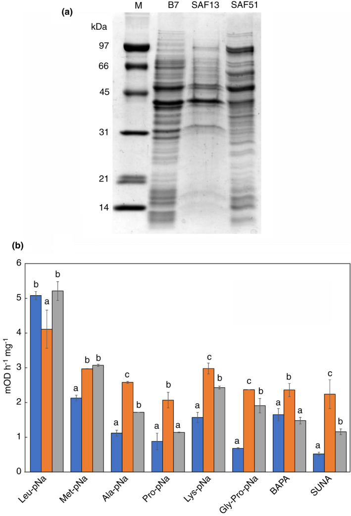 FIGURE 3