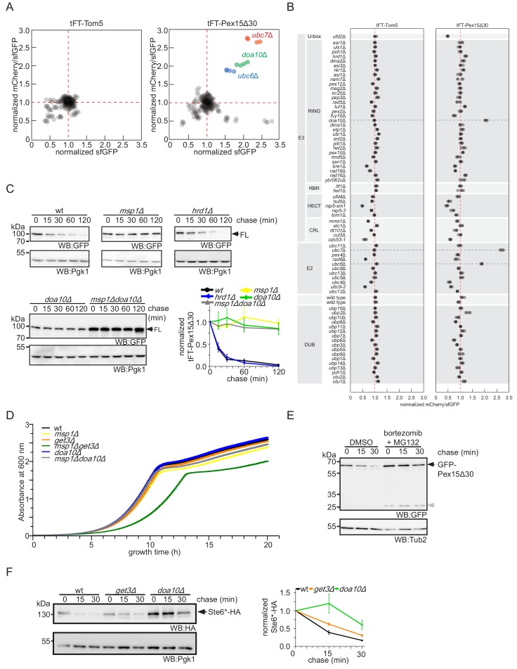 Figure 3—figure supplement 1.