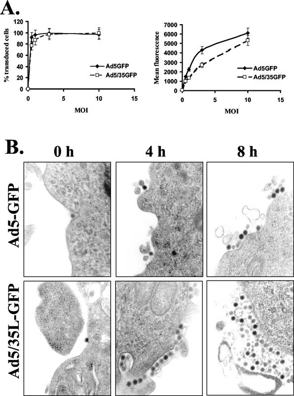 FIG. 7.