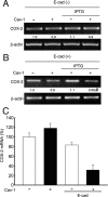 Figure 11.