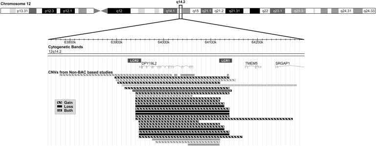 Figure 3