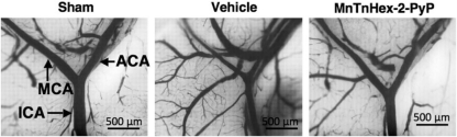 Fig. 10.