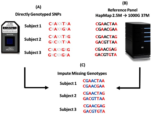 Figure 1