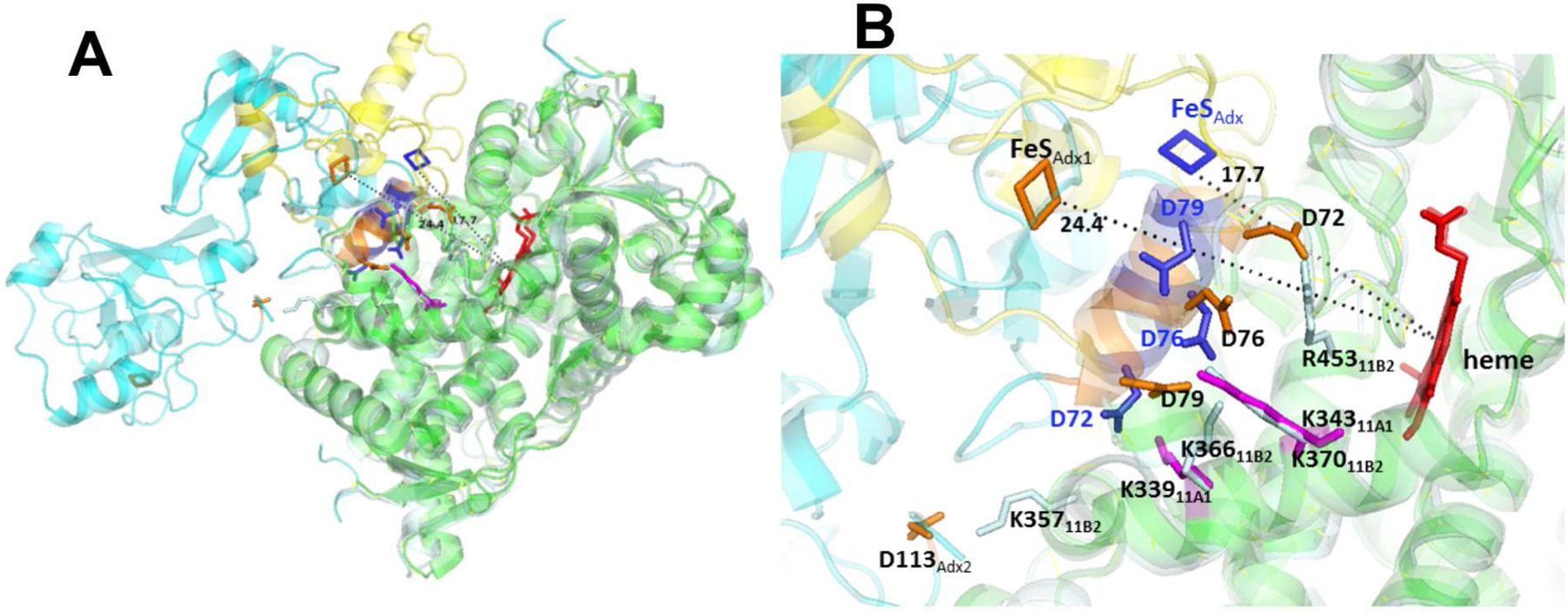 Figure 6.