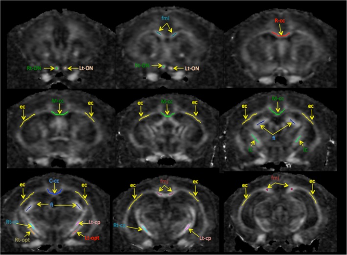 Fig 3