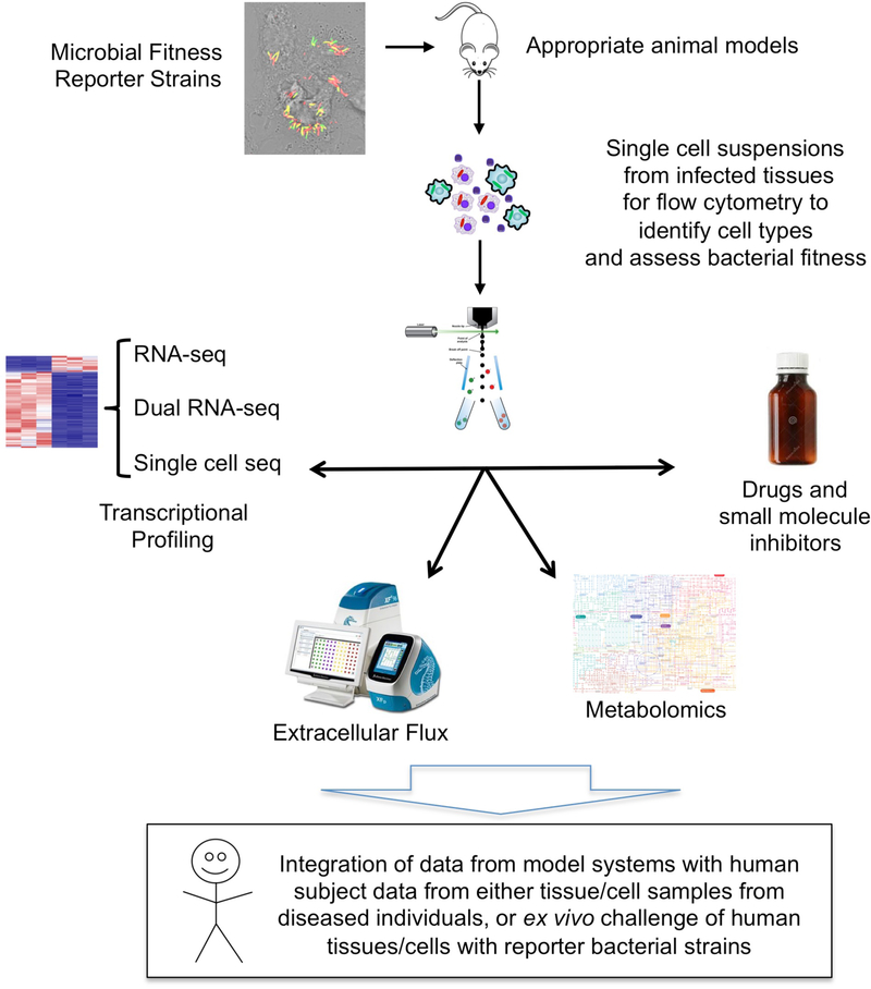 Figure 5 |