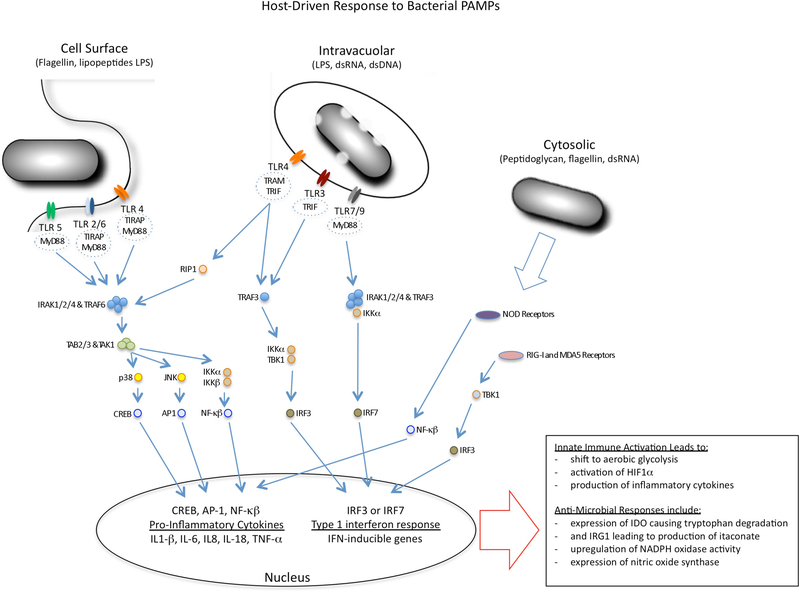 Figure 2 |