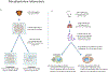 Figure 4 |