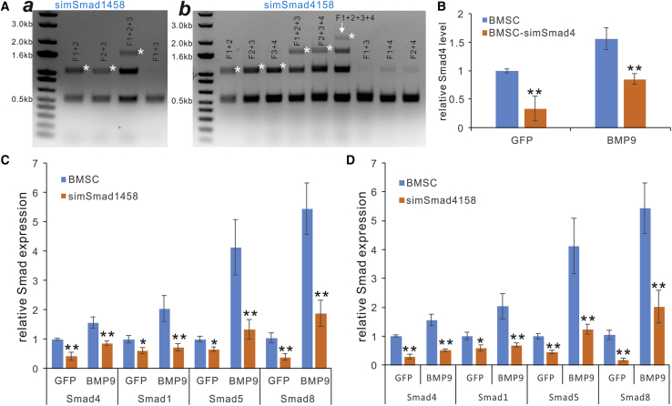 Figure 4