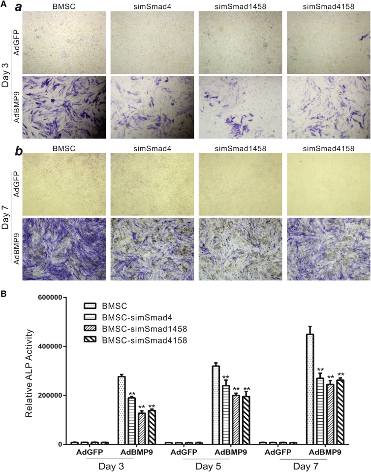 Figure 6