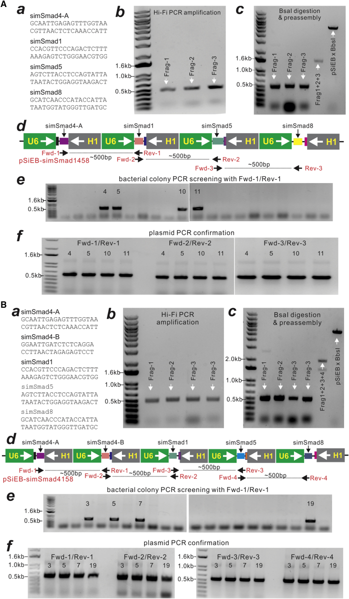 Figure 3