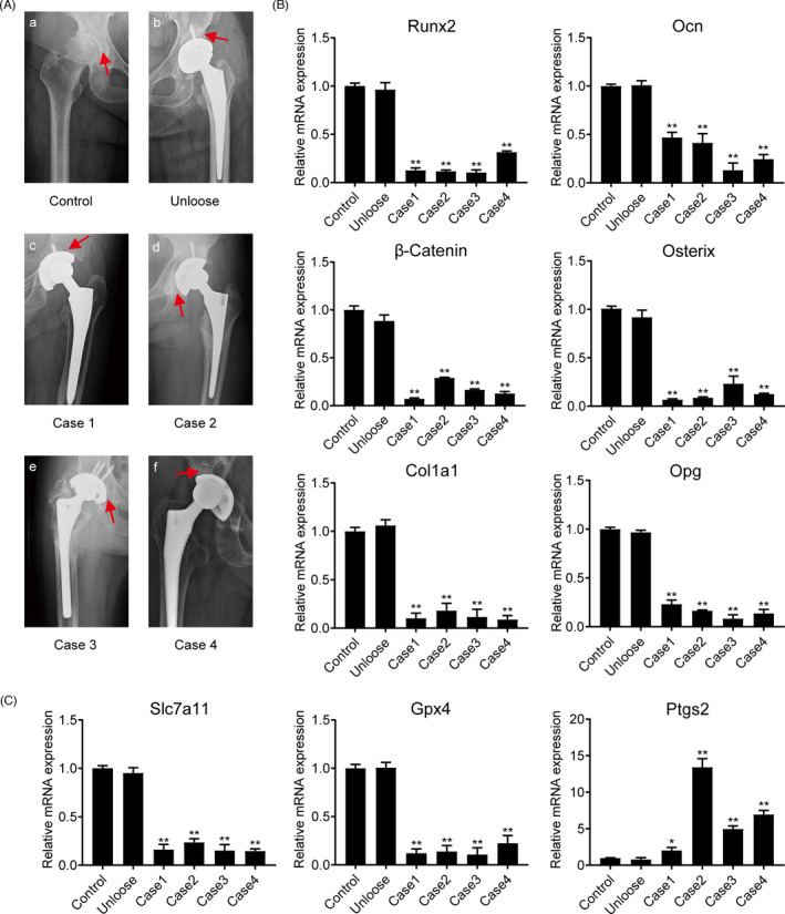 FIGURE 3