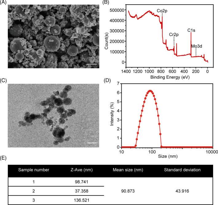 FIGURE 1