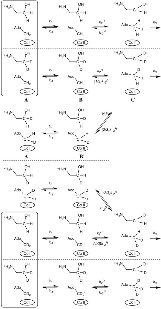 Scheme 2