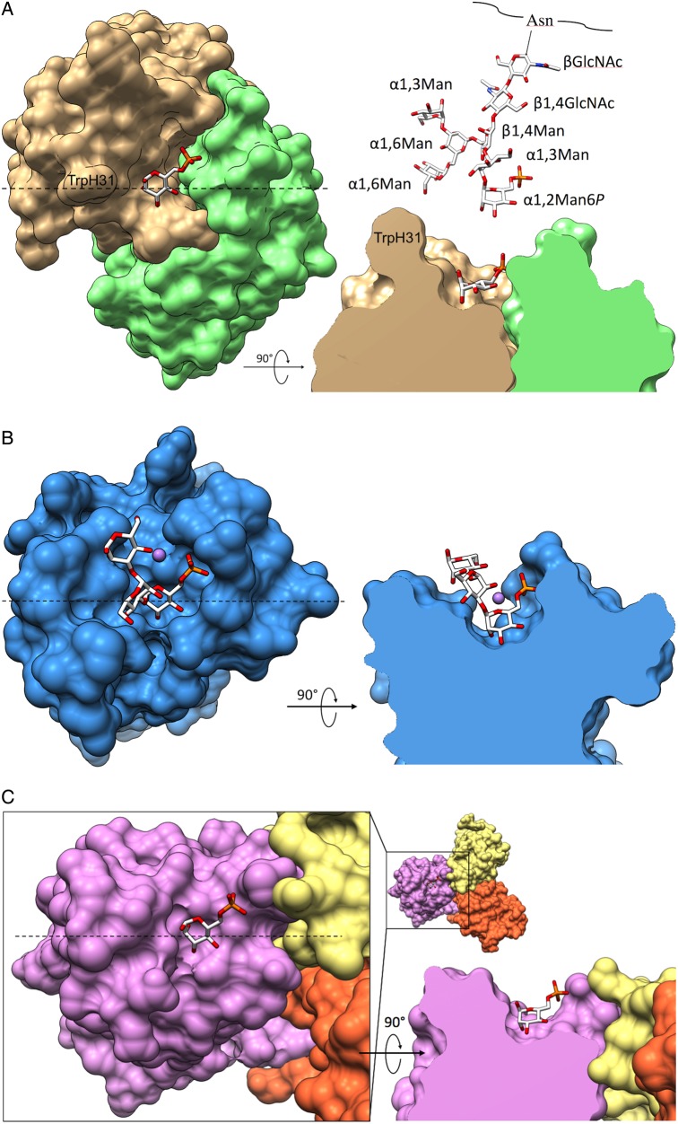 Fig. 6.