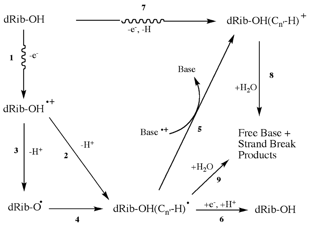 SCHEME 1