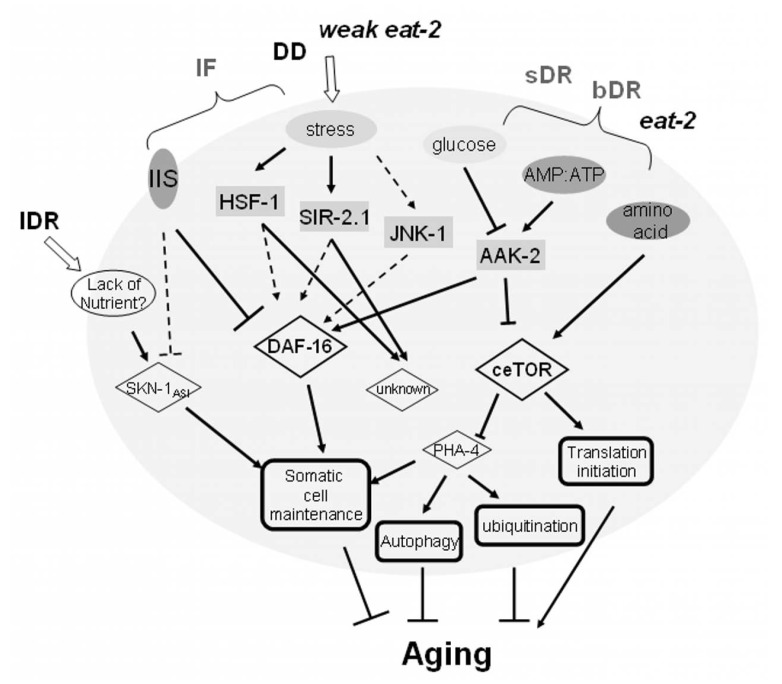 Fig. (1)