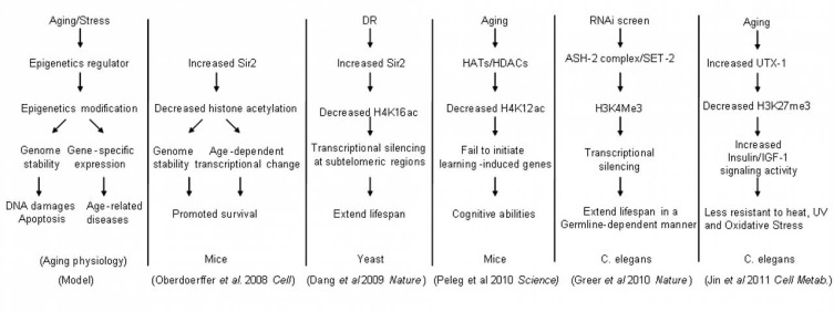 Fig. (3)