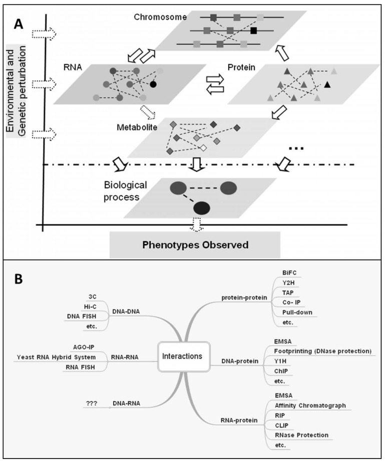 Fig. (2)