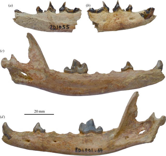 Figure 2.