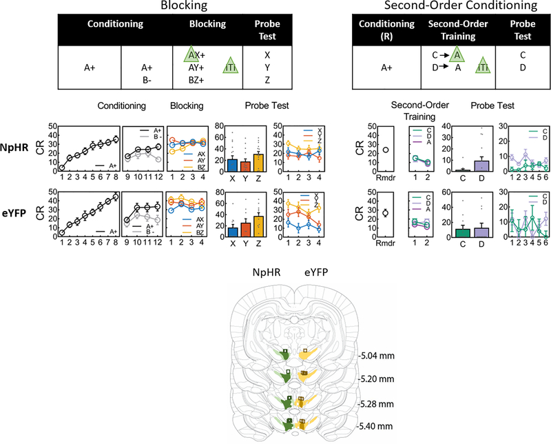 Extended Data Fig 2.