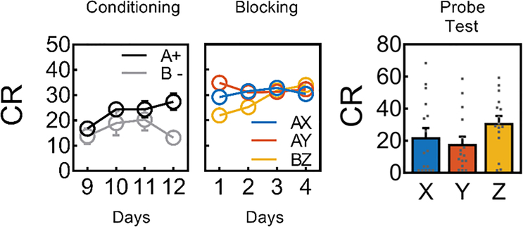 Figure 3: